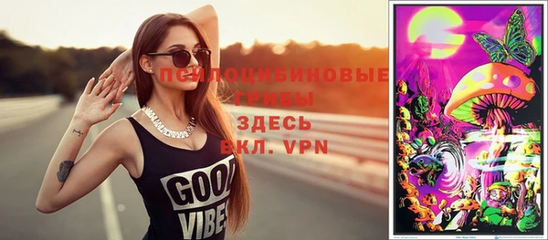 крисы Медвежьегорск