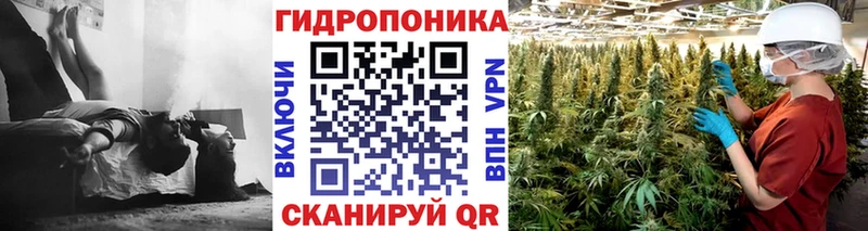 Канабис гибрид наркотики Ачинск